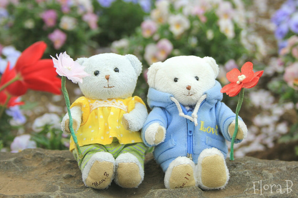 18年3月まで お手軽ぬい撮りフォトコンテスト プティルウ学園 に参加すべき3つの理由 ぬい撮り研究ブログ ふろーらろぐ 18年3月まで お手軽ぬい撮りフォトコンテスト プティルウ学園 に参加すべき3つの理由 ぬい撮り研究ブログ ふろーらろぐ