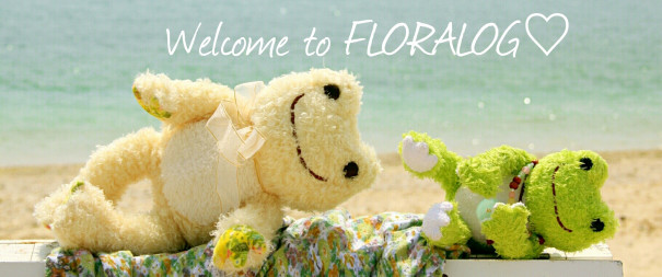 About ぬい撮り研究ブログ ふろーらろぐ