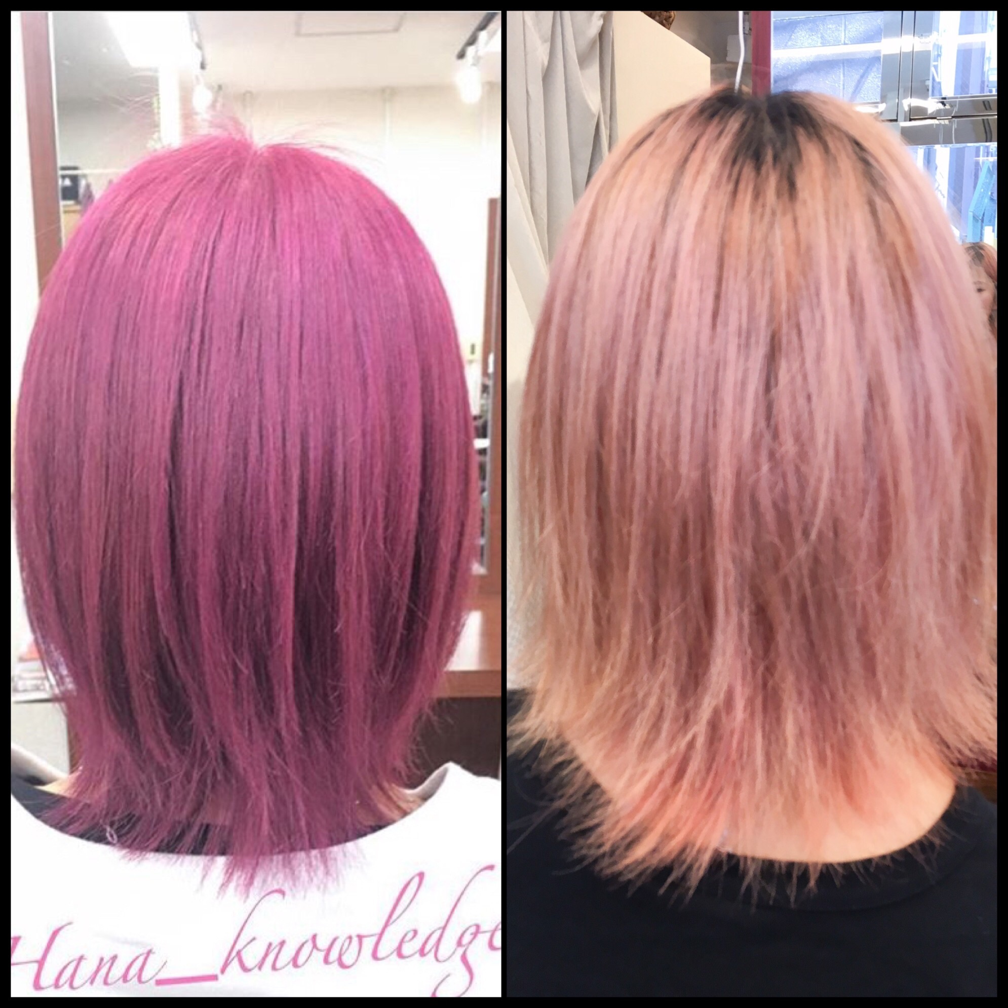 50 素晴らしい髪色 ピンク 色落ち 最高の花の画像