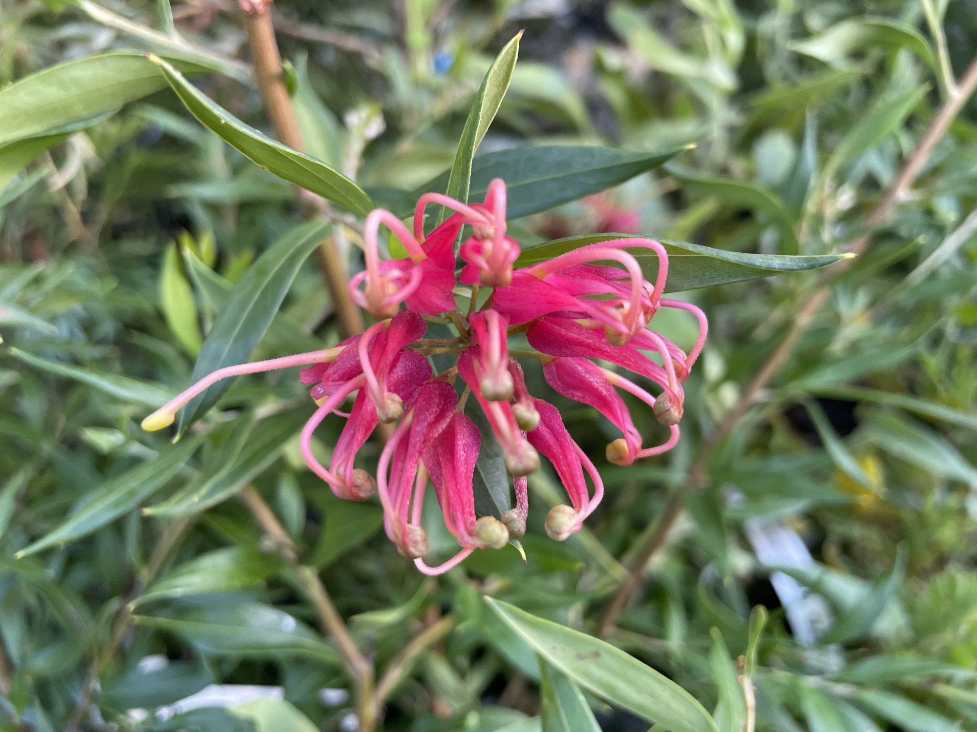 79f897ae93806fff8ab04b397913f1