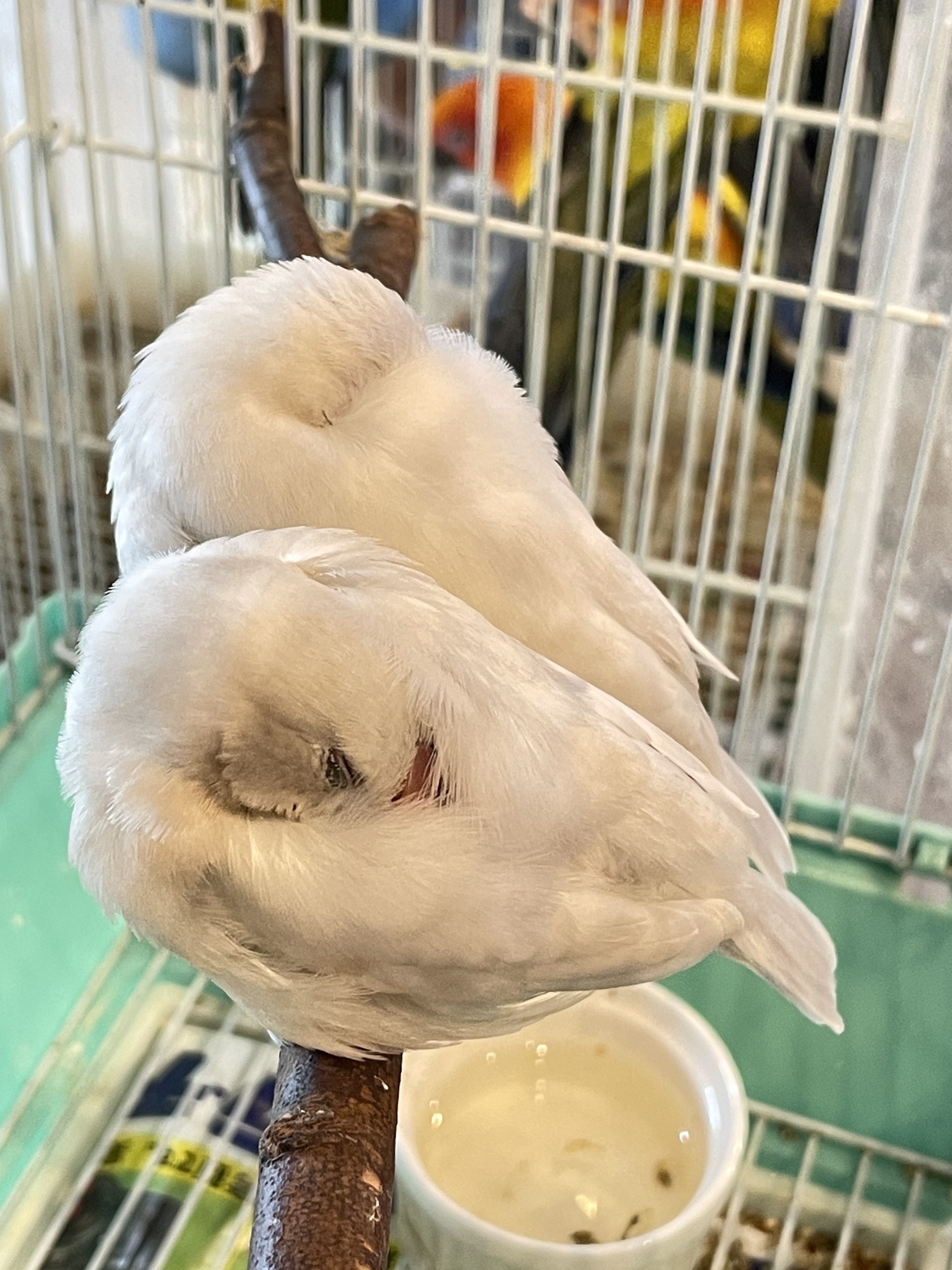 dcbe20f8d5d860a4f99e0bdd857eb2