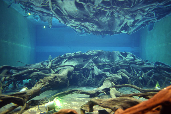 ZIPANG TOKIO 2020「幻の海！魚津の三大奇観『蜃気楼