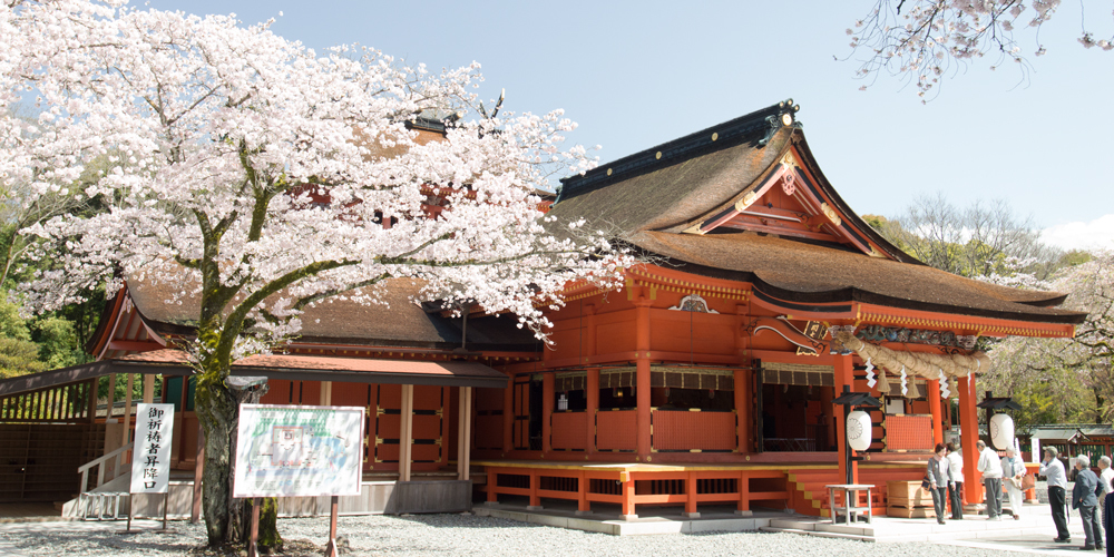 ZIPANG TOKIO 2020 「 神聖地 富士山 は 富士山