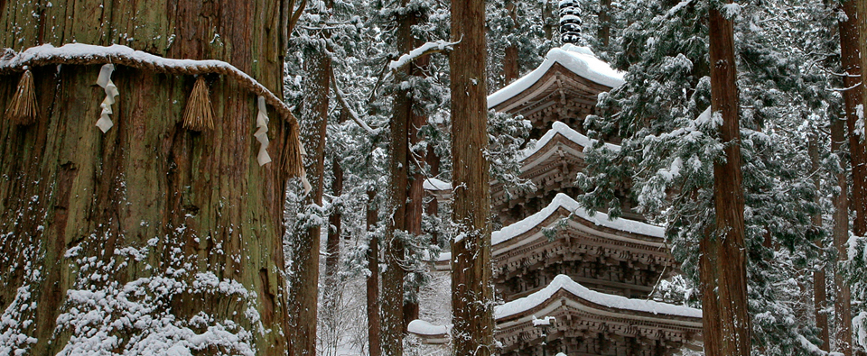 ＺＩＰＡＮＧ ＴＯＫＩＯ ２０２０「そびえる山の厳しさに山伏たちの姿が浮かぶ！ 日本遺産認定 出羽三山」 | ＺＩＰＡＮＧ ＴＯＫＩＯ ２０２０