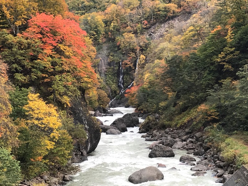 ZIPANG TOKIO 2020「山峡の栄村秋山郷の大自然