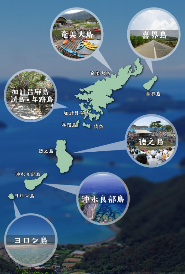 ZIPANG TOKIO 2020 「 奄美固有のドロ土から産まれた