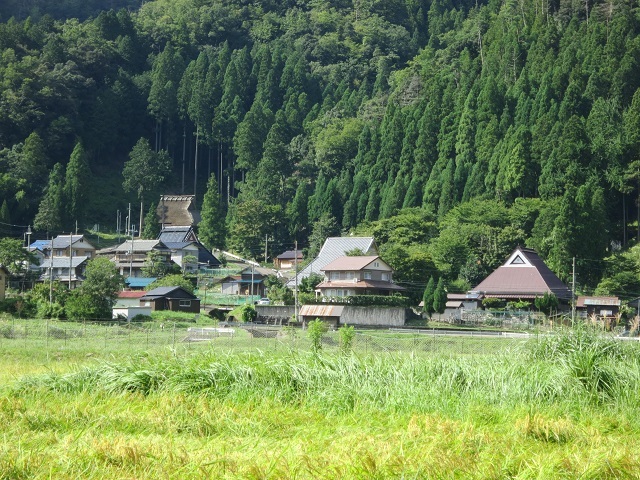 目で見る南越の１００年 武生市・鯖江市・丹生郡・南条郡・今立郡/郷土出版社（単行本） 目で見る南越の100年 武生市・鯖江市・丹生郡・南条郡・今立