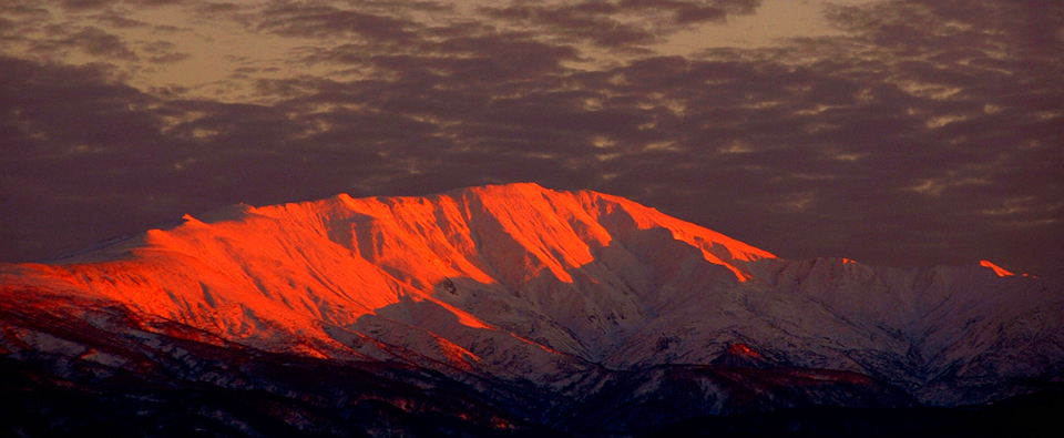 ＺＩＰＡＮＧ ＴＯＫＩＯ ２０２０「そびえる山の厳しさに山伏たちの姿が浮かぶ！ 日本遺産認定 出羽三山」 | ＺＩＰＡＮＧ ＴＯＫＩＯ ２０２０