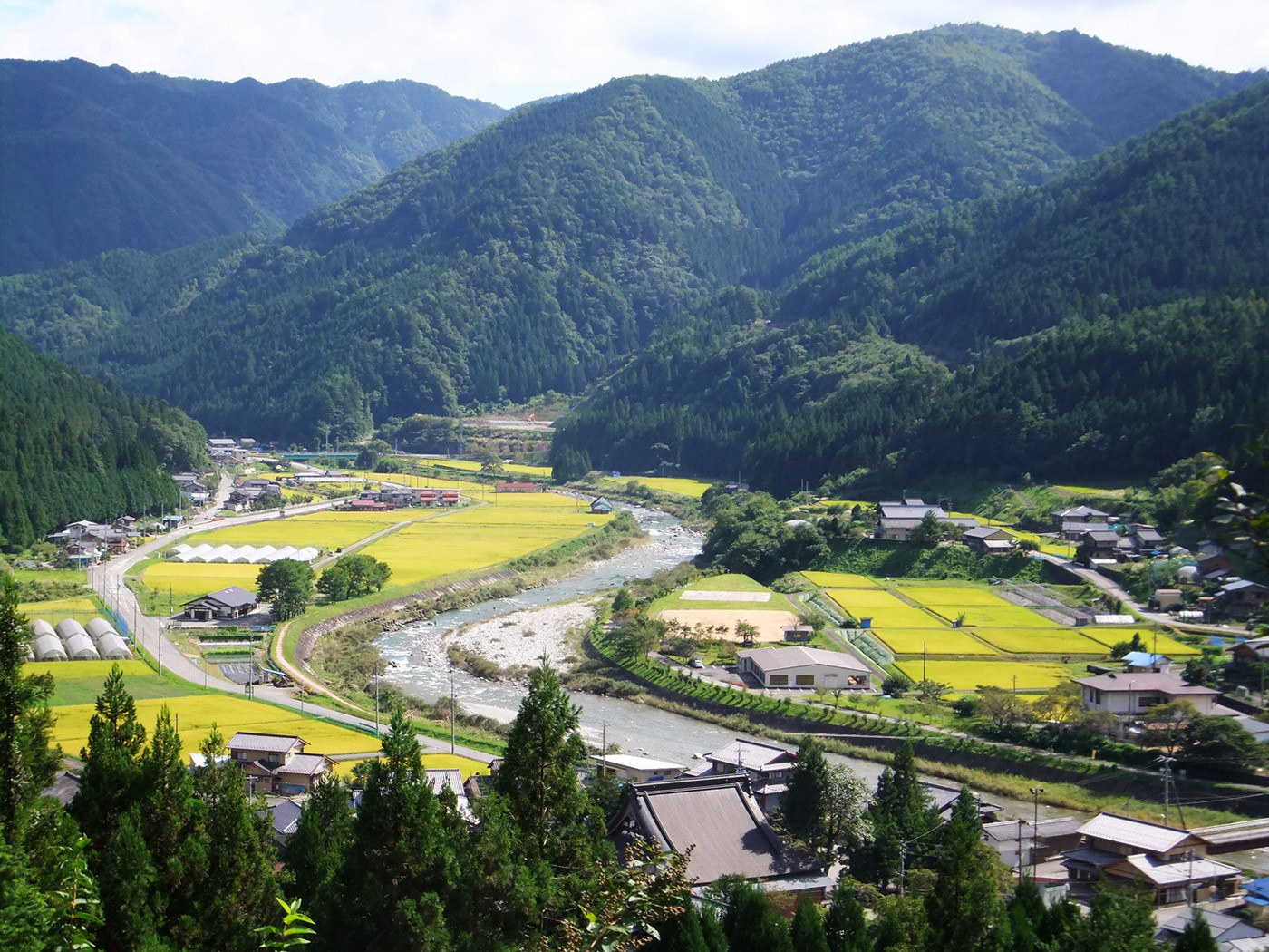 ＺＩＰＡＮＧ ＴＯＫＩＯ ２０２０「まさに桃源郷！ 下呂温泉の山むこうに日本で最も美しい村があります～貴方もきっと武陵の漁夫の気持ちに～」 |  ＺＩＰＡＮＧ ＴＯＫＩＯ ２０２０