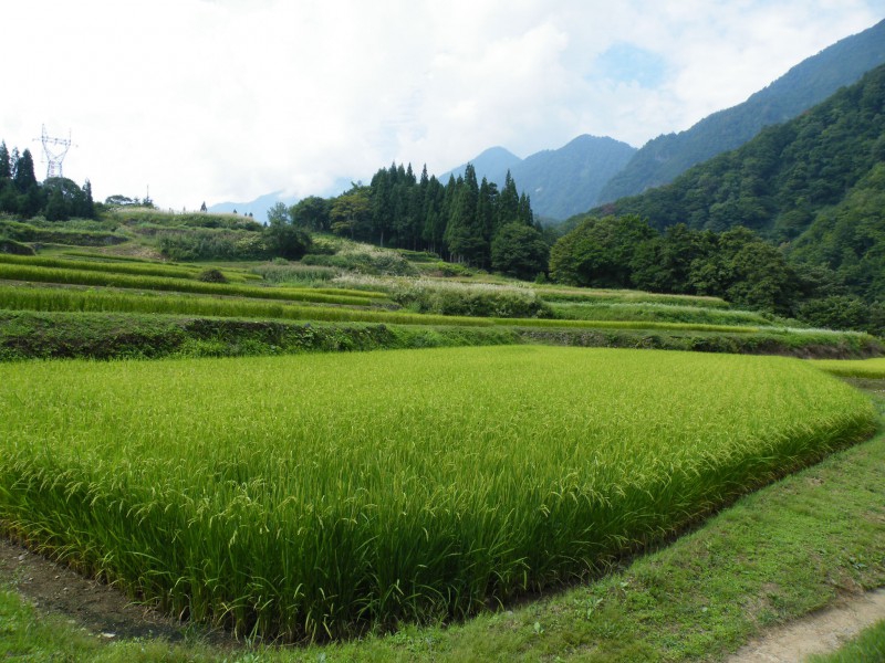秋山郷 秋山郷（あきやまごう） - 津南町ホームページ