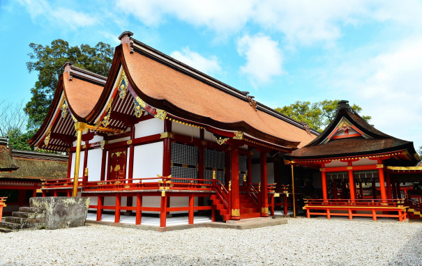 宇佐神宮けやき