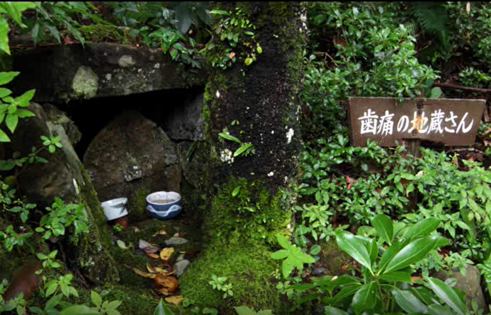 ZIPANG TOKIO 2020「八咫烏が導く神への道【世界遺産