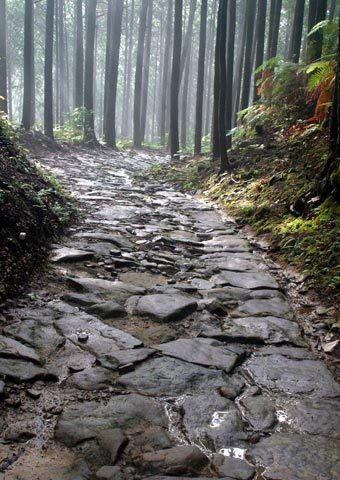 ＺＩＰＡＮＧ ＴＯＫＩＯ ２０２０「八咫烏が導く神への道【世界遺産 熊野古道】熊野の聖地 熊野本宮大社に通じるこの道は・・・」 | ＺＩＰＡＮＧ  ＴＯＫＩＯ ２０２０