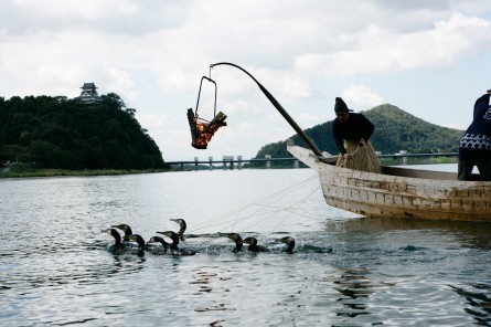 ｚｉｐａｎｇ ｔｏｋｉｏ ２０２０ 犬山 木曽川うかい 1300年の伝統の匠の技 女鵜匠も活躍 犬山城の東 庭園 有楽苑には 国宝茶室如庵 ｚｉｐａｎｇ ｔｏｋｉｏ ２０２０
