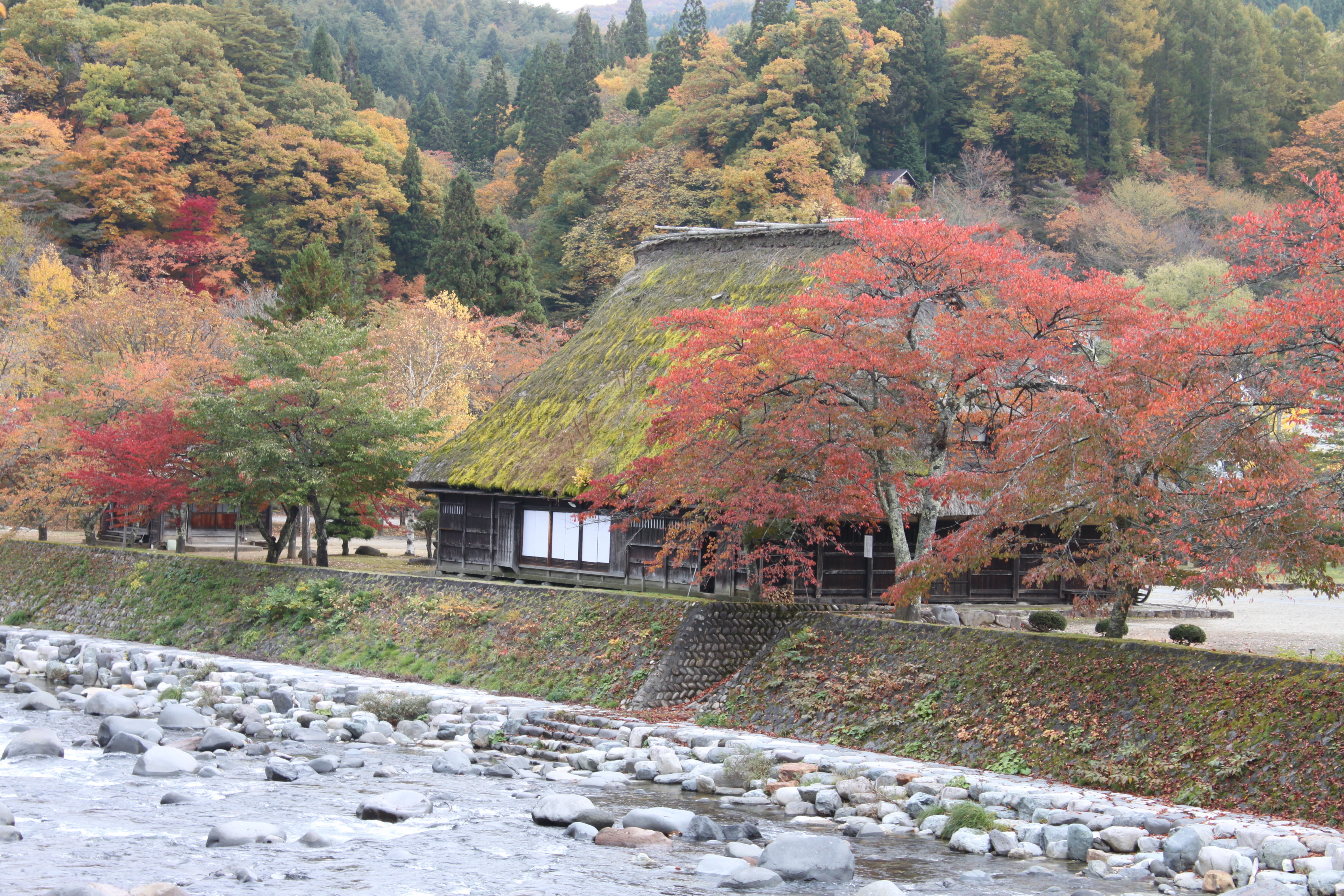 ZIPANG TOKIO 2020「白川郷の上流 飛騨高山の奥