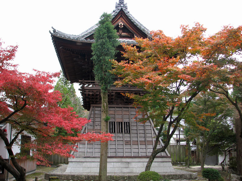 ZIPANG TOKIO 2020虎渓山 永保寺 夢窓国師作庭