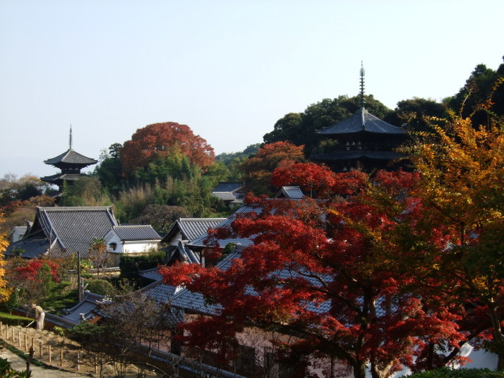 ＺＩＰＡＮＧ ＴＯＫＩＯ ２０２０「當麻寺 ～変遷を生き抜いた不思議