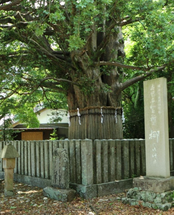 ｚｉｐａｎｇ ｔｏｋｉｏ ２０２０ 人生甦りの熊野速玉大社へ 千早ふる 熊野の宮のなぎの葉を 変わらぬ千代のためしにぞ折る 藤原定家 前編 ｚｉｐａｎｇ ｔｏｋｉｏ ２０２０