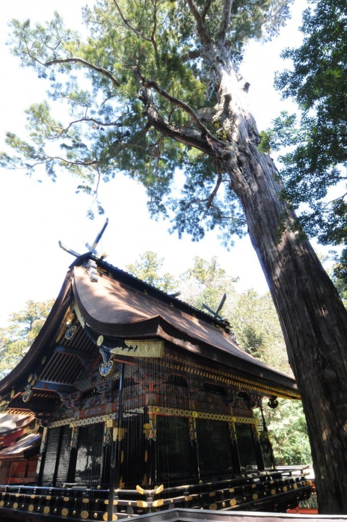 ＺＩＰＡＮＧ ＴＯＫＩＯ ２０２０「すべての始まりの地 『鹿島神宮』紀元前660年の創建（前編）」 | ＺＩＰＡＮＧ ＴＯＫＩＯ ２０２０