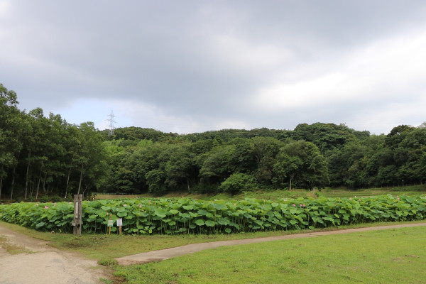 三宝荒神 さんぽうこうじん ふらっと神社