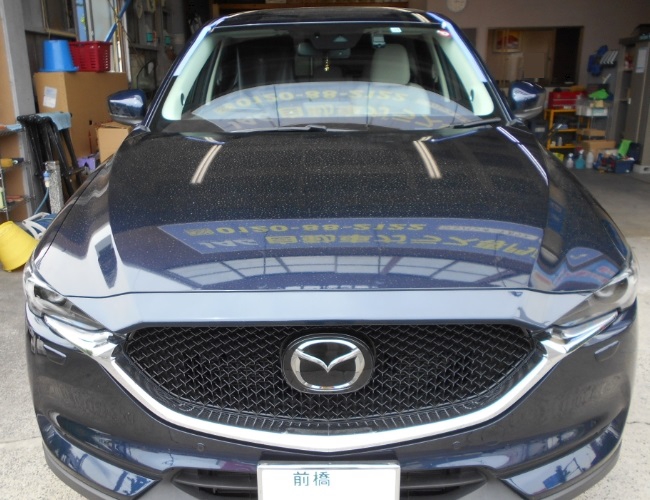 d2ec988b527184e3585a6956e55f2e