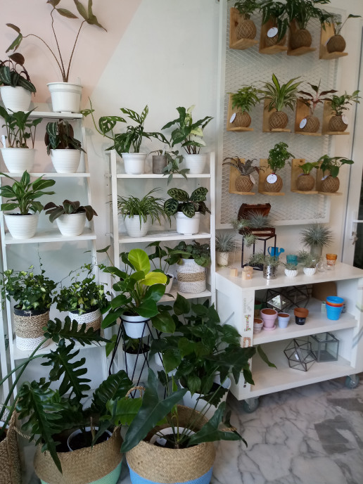 緑がいっぱいcafe Living With Lof Sehari Hari