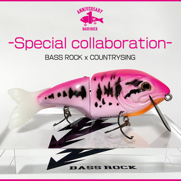 PRODUCE | BASS ROCK (バスロック) - ハンドメイド ルアー ビッグベイト -