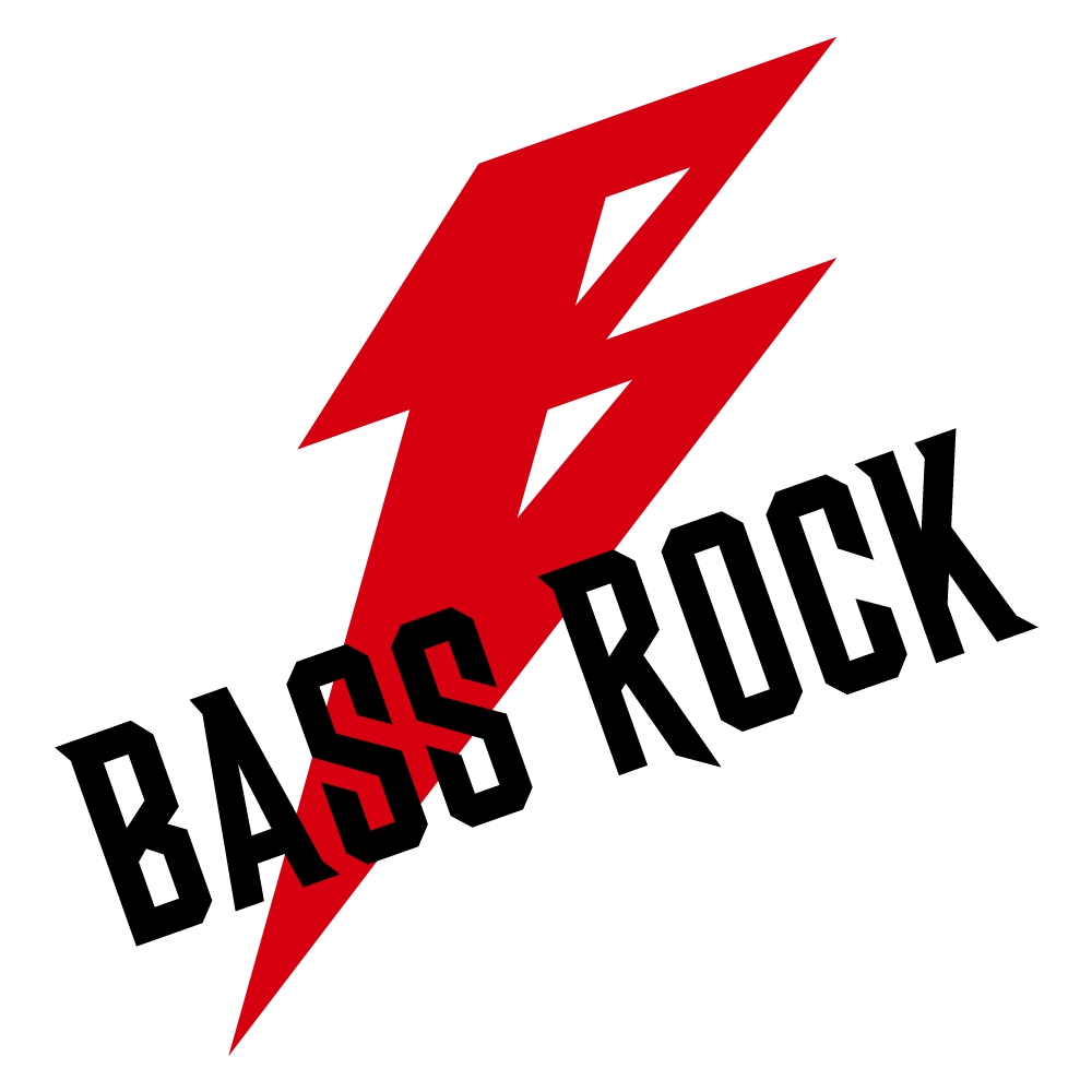 BASS ROCK (バスロック) - ハンドメイド ルアー ビッグベイト -