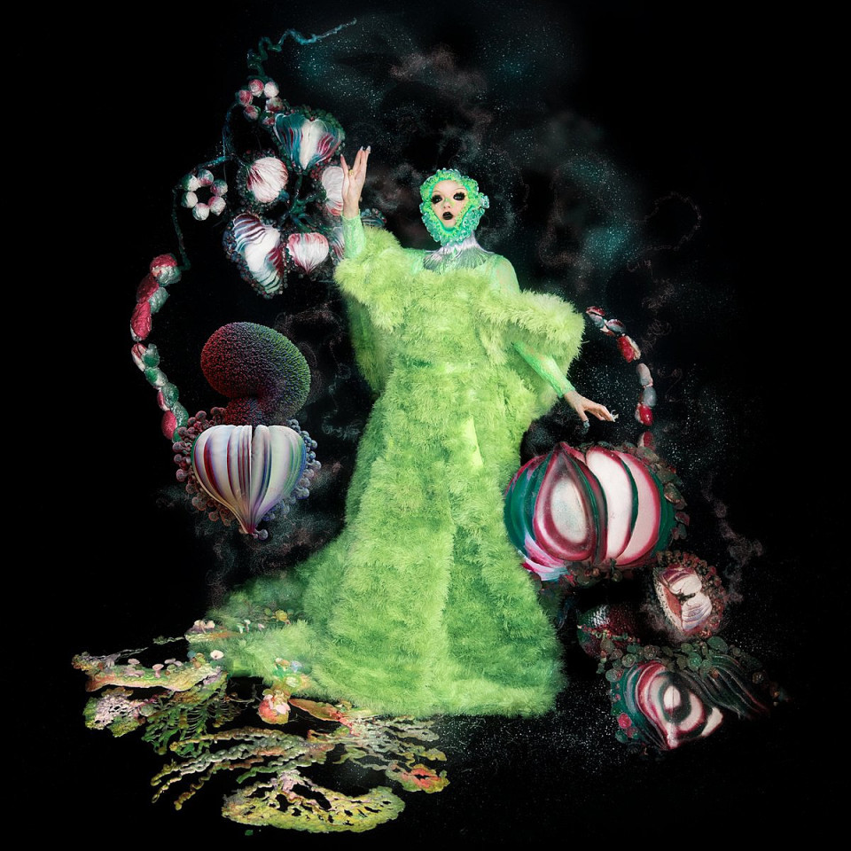 アイスランドの歌姫【björk】の、5年ぶりとなる10枚目のアルバムは 