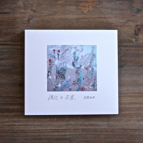 アンビエントフォーク、映画音楽、あるいは環境音楽か。SSW【別野加奈