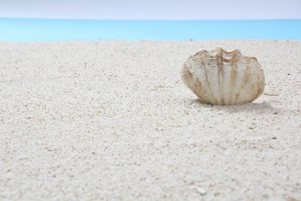 バロン クルーズとシネマ 船と映画 船の映画 船が出てくる映画 船が舞台の映画 船が登場する映画