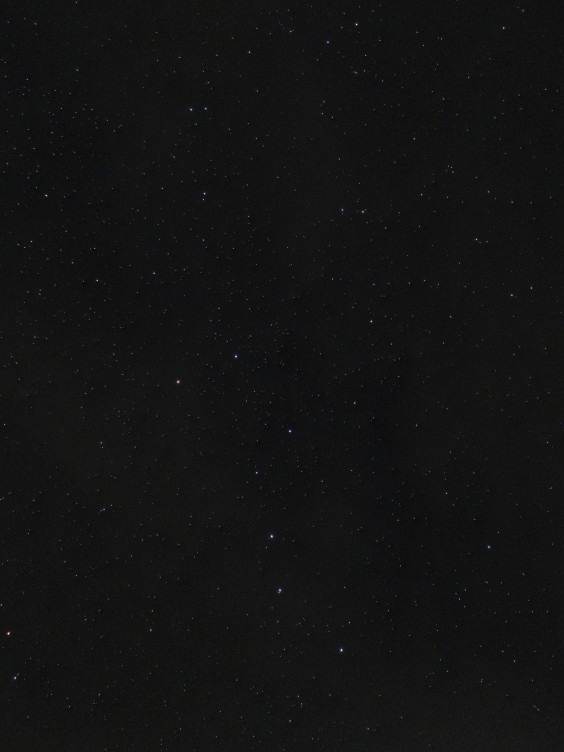 穏やかな夜 山のれすとらん さかたのあれこれ 穏やかな夜 山のれすとらん さかたのあれこれ