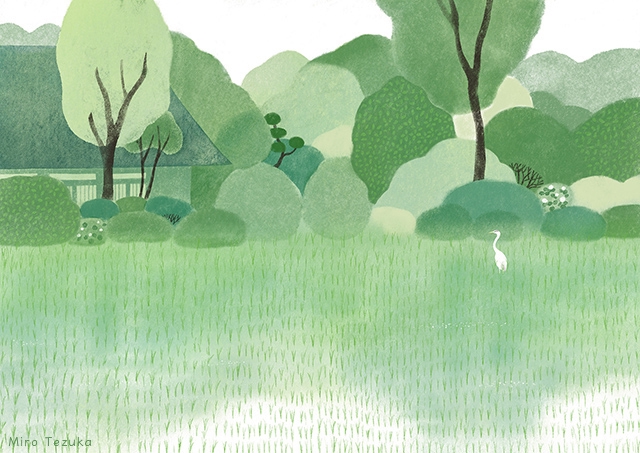 新緑 | Miro Tezuka