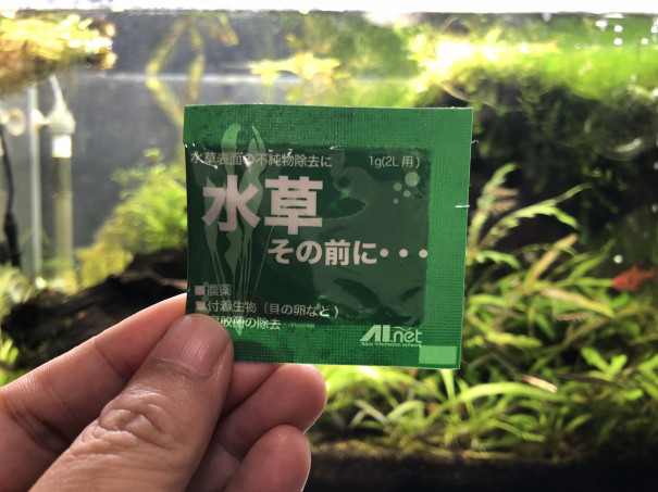 水草水槽再生の準備 Ap リネアタ キンメの毎日