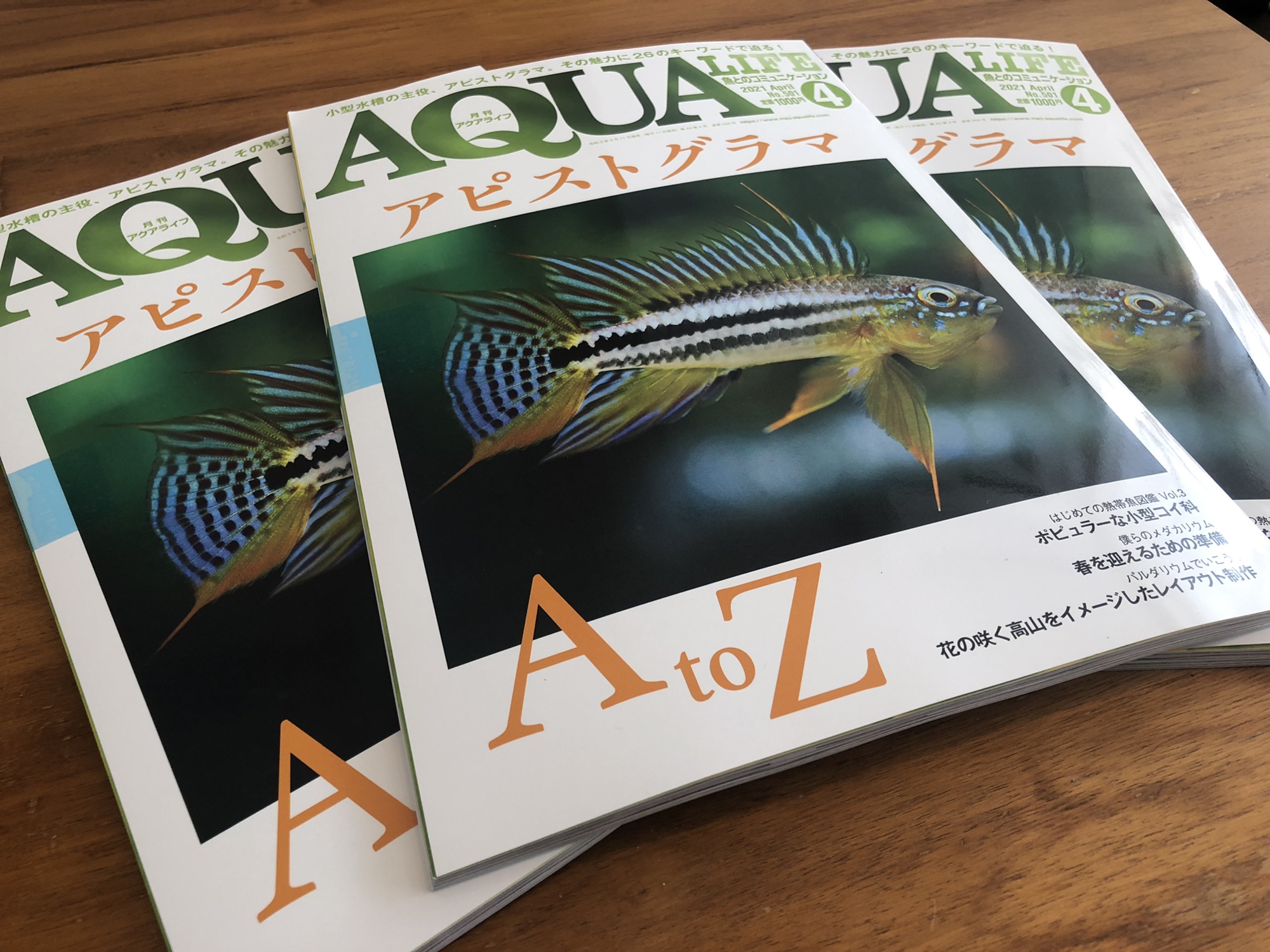 【超レア！】 アクアライフ アピスト特集 8冊セット 祝アクアライフのアピスト特集発売 | キンメの毎日