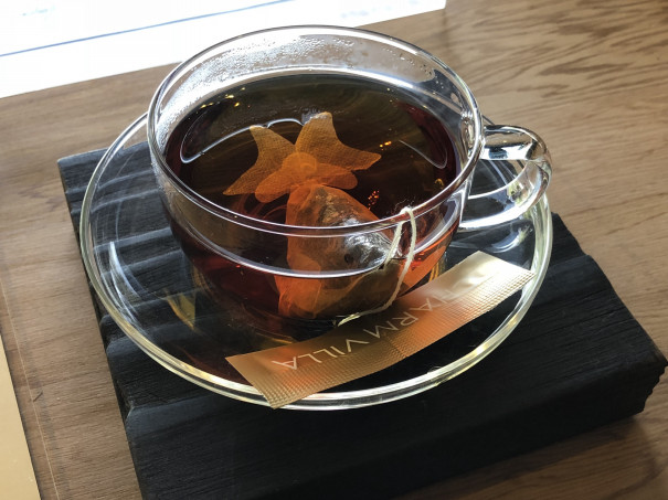 台湾ショップ巡り 2軒目 紅鱗水族 Ap エリザベサエ キンメの毎日