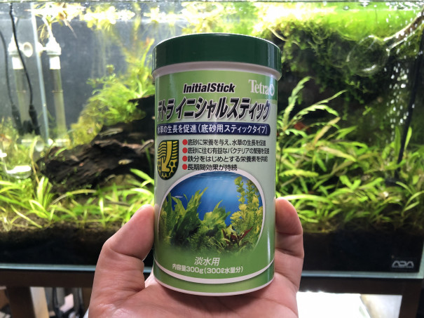 水草水槽再生の準備 Ap リネアタ キンメの毎日