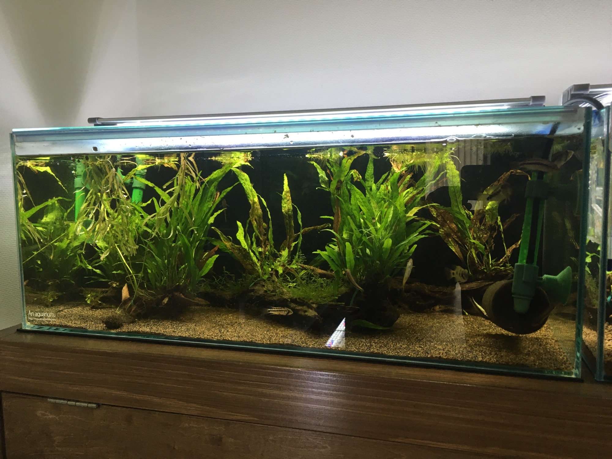 74eb8b71dd19d380a716f2e73043d0