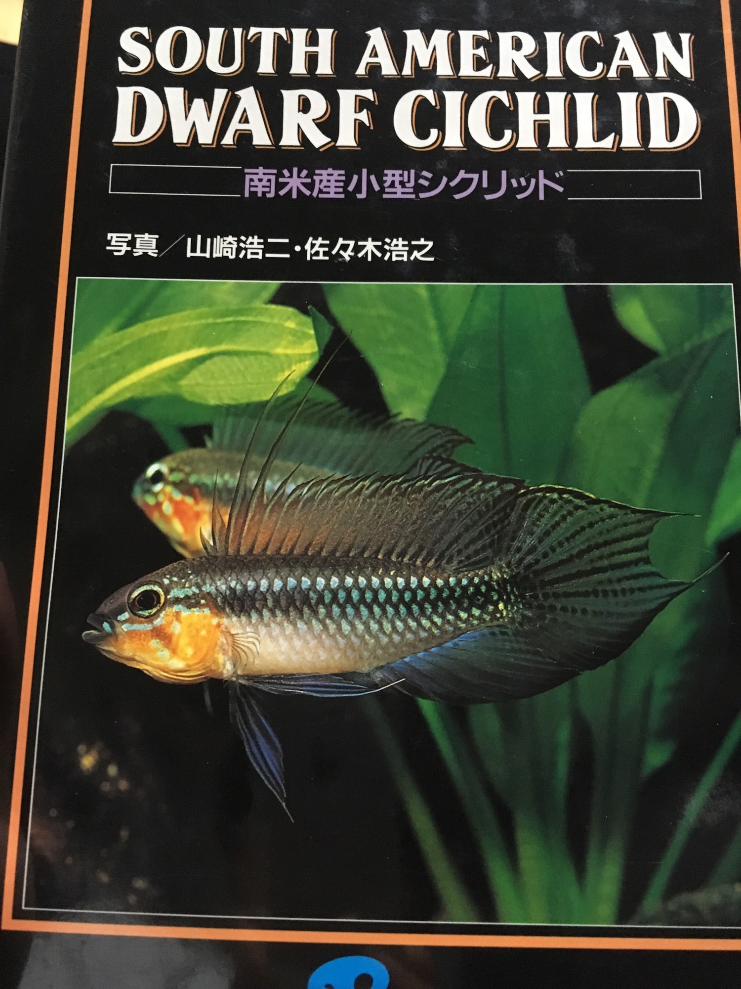 Die Buntbarsche Amerikas 2 アピストグラマ専門書 - 魚用品/水草