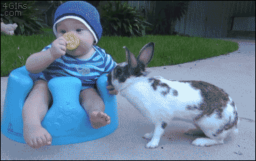 こどもgif まとめ その１ おもしろ Gif 画像