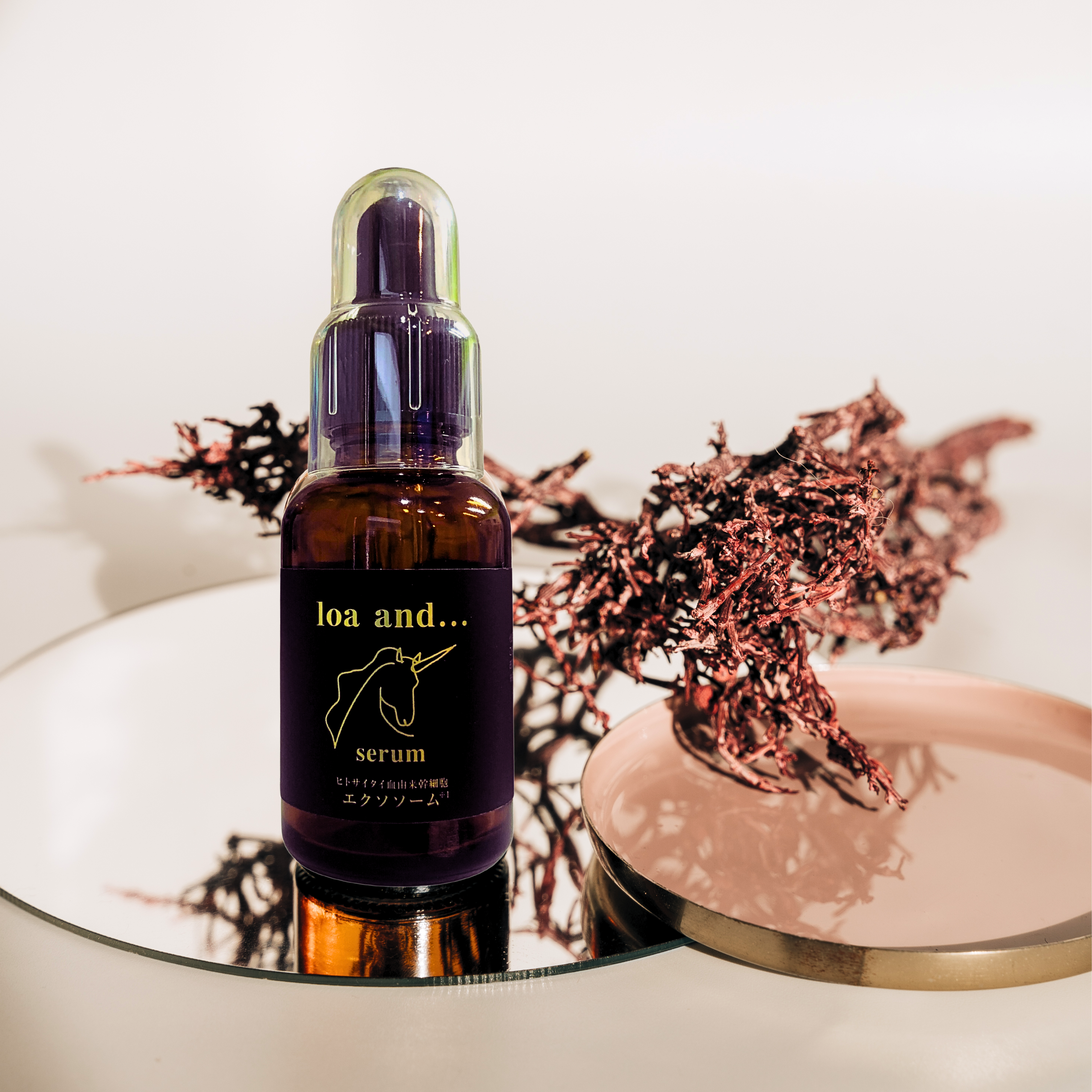 BEAUTY | O'deco Co.,Ltd.