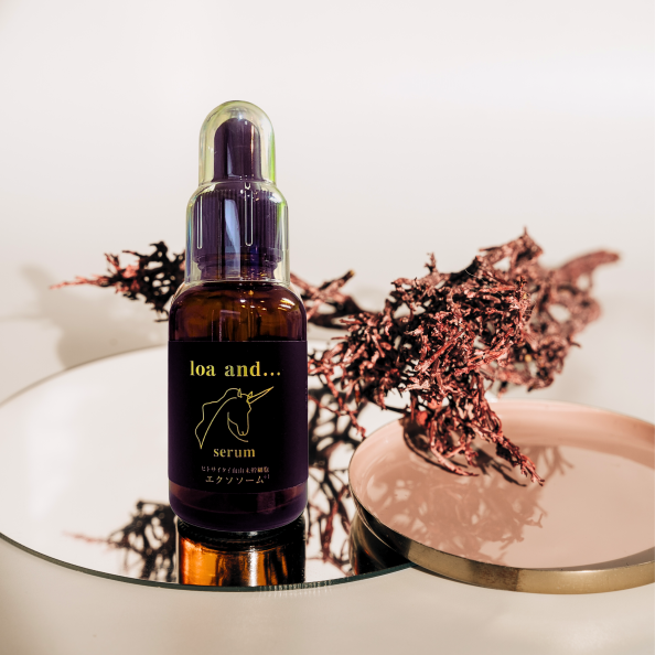 美容液 LoKo BEAUTY | O'deco Co.,Ltd.