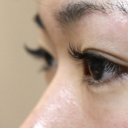 まつげエクステ ページ19 米子市 まつげエクステ ネイル ヘアセット 着付け Kiki キキ