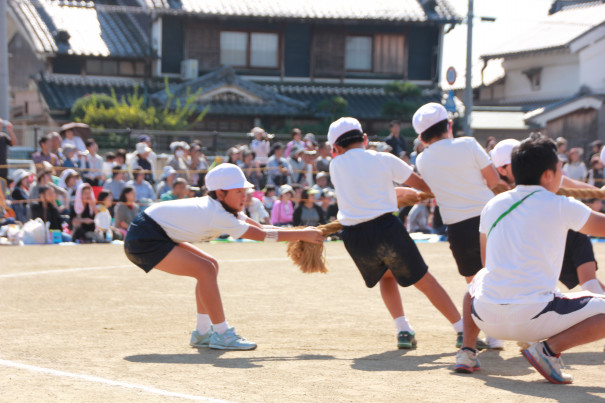 娘の運動会 犬と楽しく暮らそうよ ワンコは家族