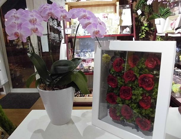 プロポーズの赤バラ12本の花束をプリザーブドフラワー加工