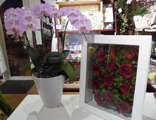 プロポーズの赤バラ１２本の花束をプリザーブドフラワー加工 リメイク 群馬県前橋市の花屋 Flowershopはなせんwebsite