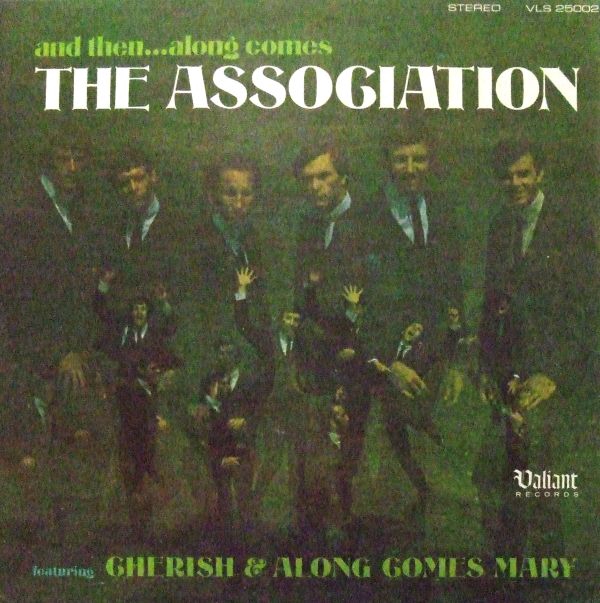 Nashpaints アナログレコード The Association | サンオブスリーサウンズ【アナログレコード専門店