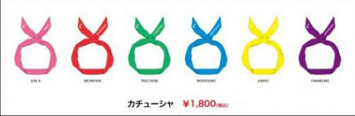 オフィシャルグッズ ラインナップ-THE 2PM in TOKYO DOME | ねこのひげ