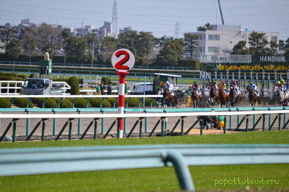 初競馬で馬女 私は何を求めていたか ぽぽっとツイてる No ゆるく生きてみよう