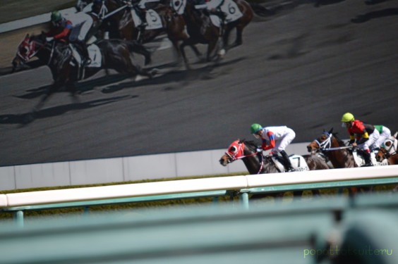 初競馬で馬女 私は何を求めていたか ぽぽっとツイてる No ゆるく生きてみよう